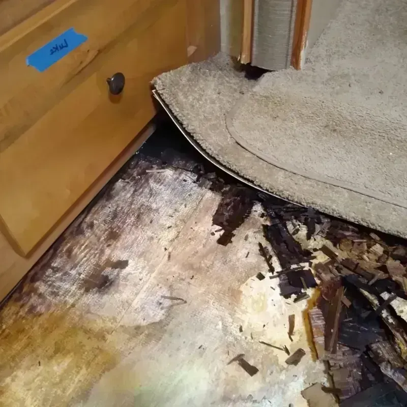 Best Wood Floor Water Damage Service in Brule County, SD